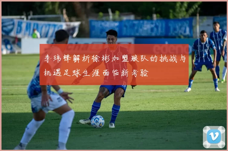 李玮锋解析徐彬加盟狼队的挑战与机遇足球生涯面临新考验